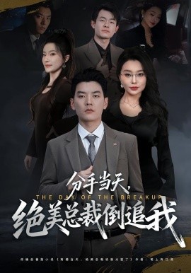 分手当天，绝美总裁倒追我全集