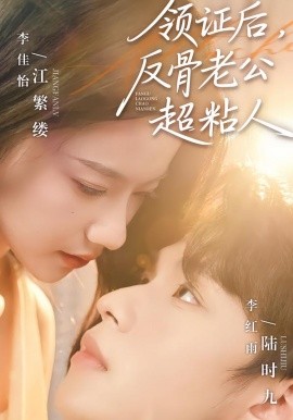 领证后，反骨老公超粘人全集