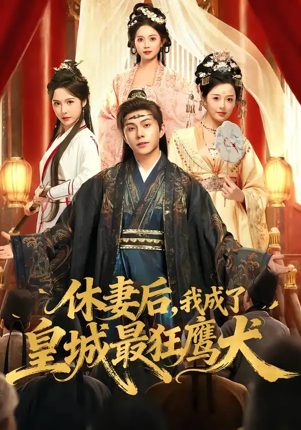 休妻后，我成了皇城最狂鹰犬全集