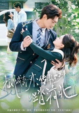 枫城奇才：传承加身踏清北全集