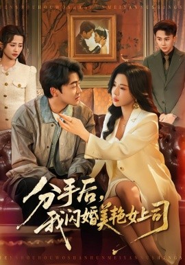 分手后，我闪婚美艳女上司全集