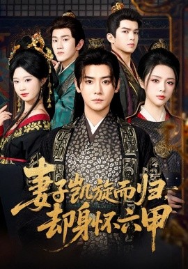 妻子凯旋而归，却身怀六甲全集