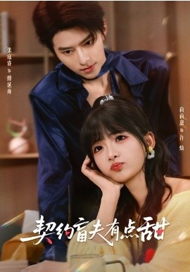 契约盲夫有点甜全集