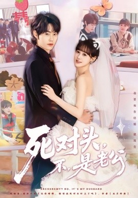 死对头，不，是老公全集