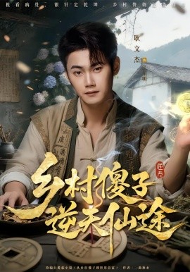 乡村傻子逆天仙途全集