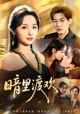 暗里渡欢全集