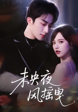 未央夜风摇曳全集