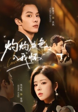 灼灼夜色入我怀全集