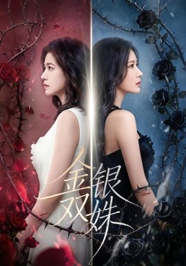 金银双姝全集
