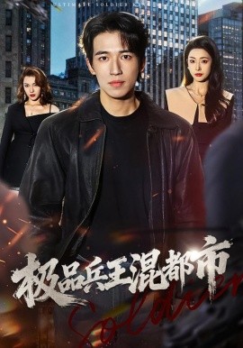 极品兵王混都市全集