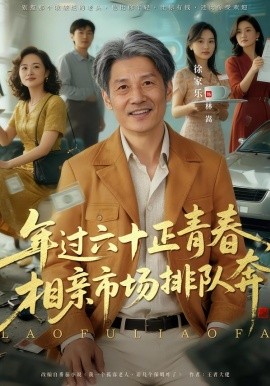 老夫聊发少年狂，保姆成群很正常全集