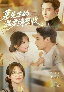 慕先生的温柔请签收全集