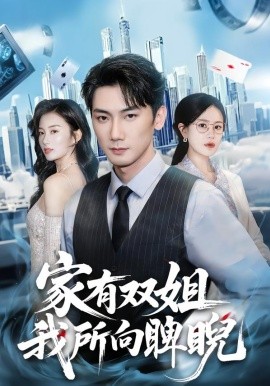 家有双姐，我所向睥睨全集