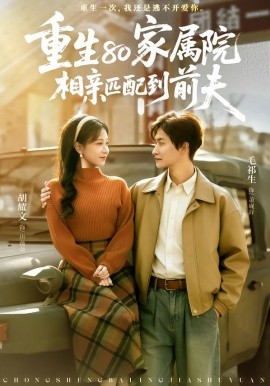 重生80家属院，相亲匹配到前夫全集