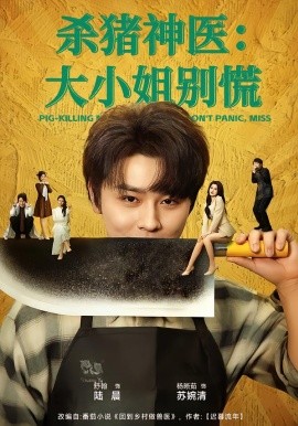 杀猪神医，大小姐别慌全集