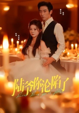 陆爷你沦陷了全集