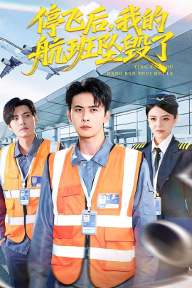 停飞后，我的航班坠毁了全集