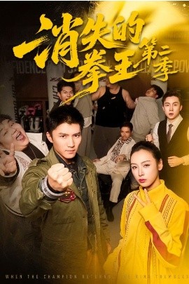 消失的拳王第二季全集