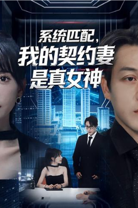 系统匹配，我的契约妻是真女神全集