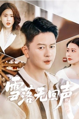 雪落无回声全集