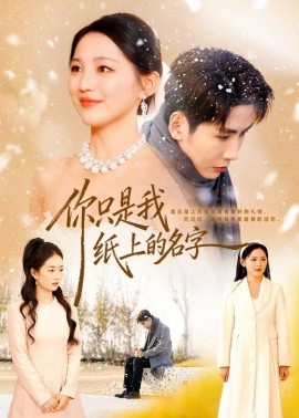 你只是我纸上的名字全集