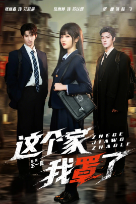 这个家我罩了全集