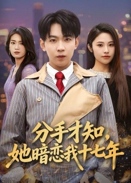 分手才知，她暗恋我十七年全集