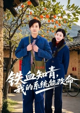铁血知青，我的系统能改命全集