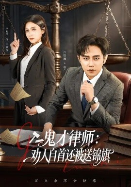 鬼才律师，劝人自首还被送锦旗全集