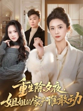 重生除夕夜，姐姐的家产谁敢动全集