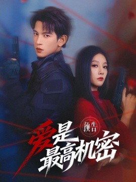 爱是最高机密全集