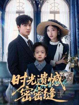 时光遗憾密密缝全集