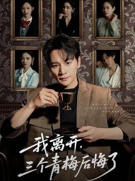 我离开，三个青梅后悔了全集