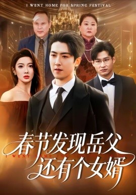 春节发现岳父还有个女婿全集