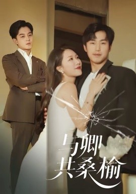 与卿共桑榆全集