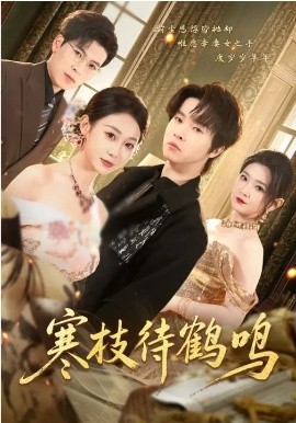 寒枝待鹤鸣全集