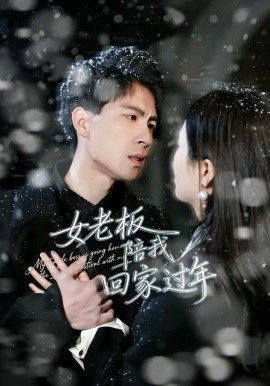 女老板陪我回家过年全集