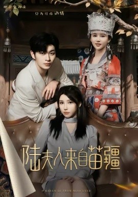 陆夫人来自苗疆全集