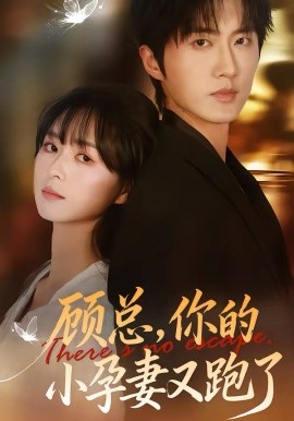 顾总，你的小孕妻又跑了全集