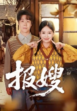 报嫂全集