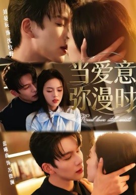 当爱意弥漫时全集
