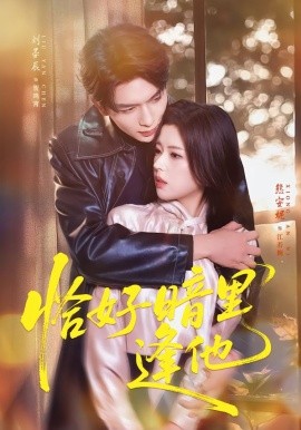 恰好暗里逢他全集