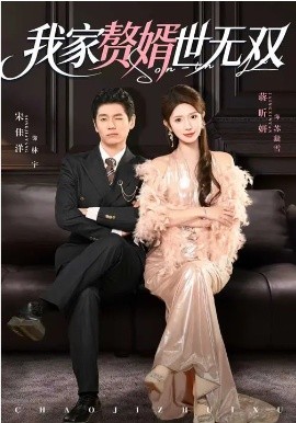 我家赘婿世无双全集