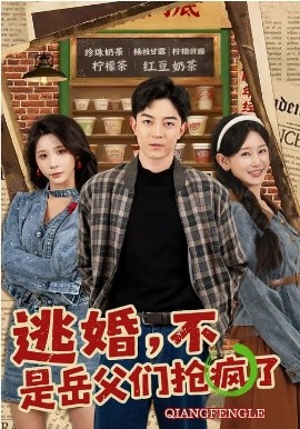逃婚，不，是岳父们抢疯了全集
