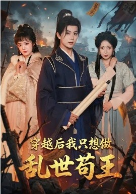 穿越后我只想做乱世苟王全集
