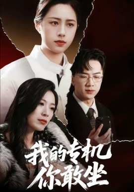 我的专机你敢坐全集