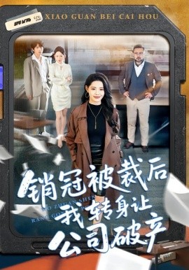 销冠被裁后我转身让公司破产全集