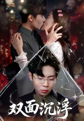 双面沉浮全集