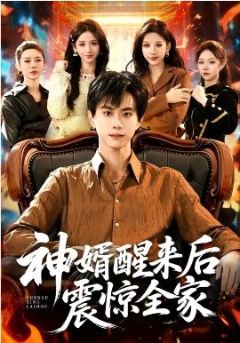 神婿醒来后震惊全家全集