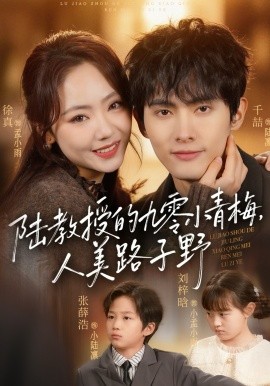 陆教授的九零小青梅，人美路子野全集